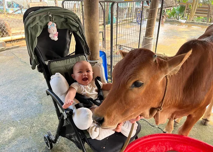 Phong Nha Mini Farm - Nguyen Shack
